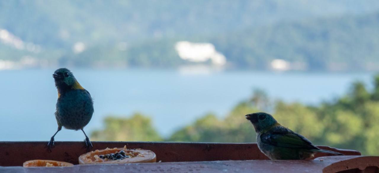 Ore Suites E Chales Ubatuba Eksteriør bilde